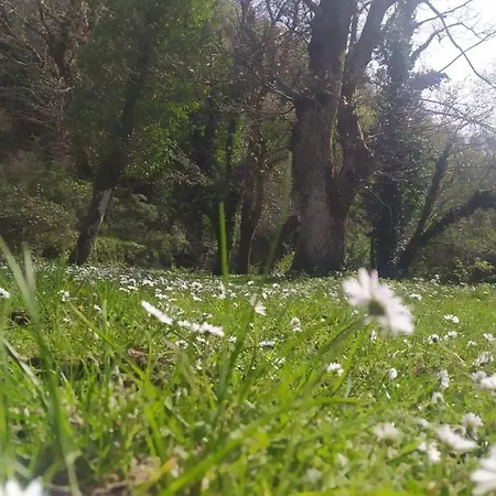 Abete Bianco 度假居