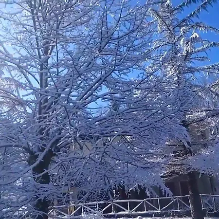 Casa vacanze Abete Bianco