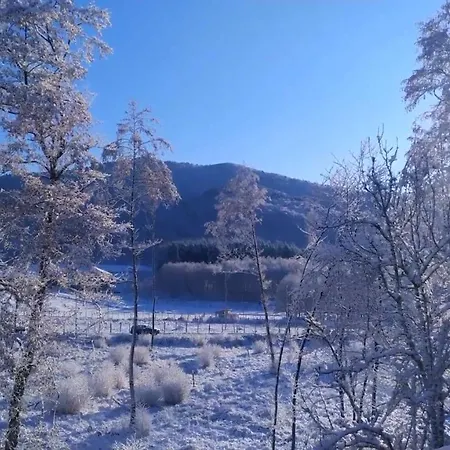 Abete Bianco 度假居 *