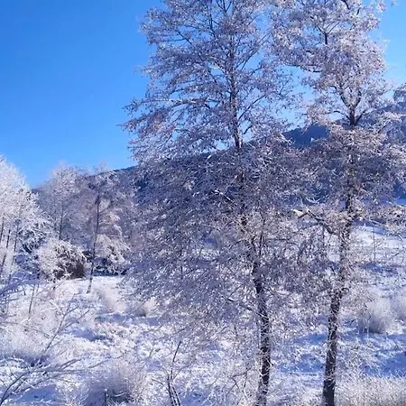 Holiday home Abete Bianco